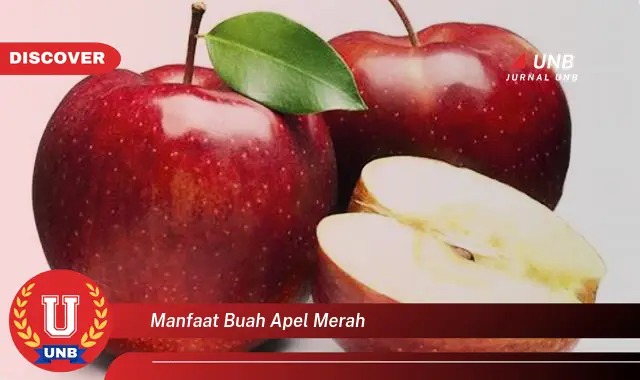 manfaat buah apel merah