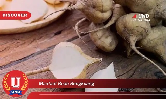 manfaat buah bengkoang