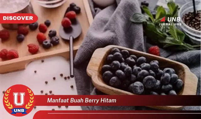 manfaat buah berry hitam manfaat buah berry hitam