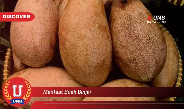 manfaat buah binjai