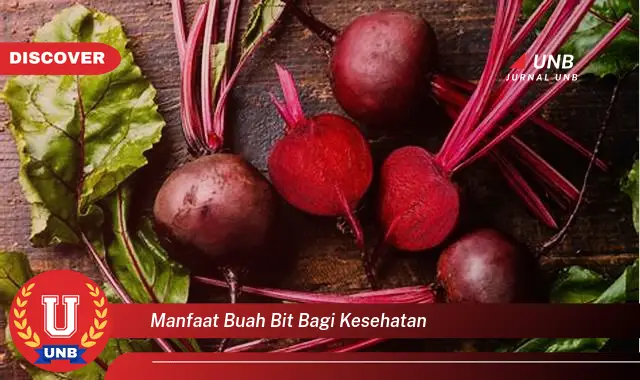 manfaat buah bit bagi kesehatan