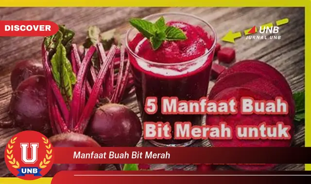 manfaat buah bit merah