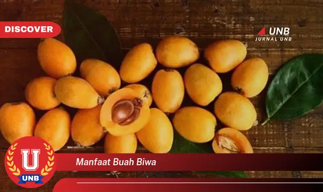 manfaat buah biwa