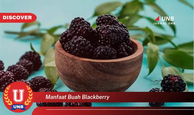 manfaat buah blackberry