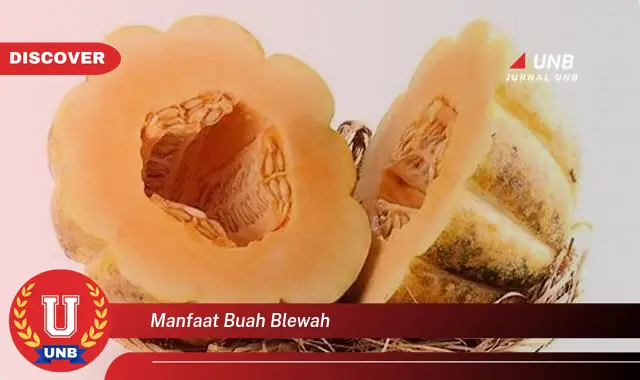 manfaat buah blewah