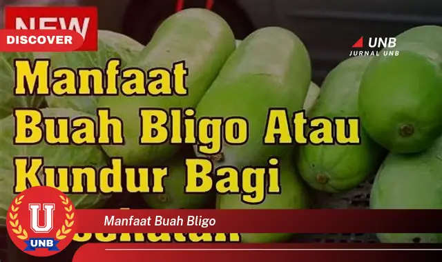 manfaat buah bligo