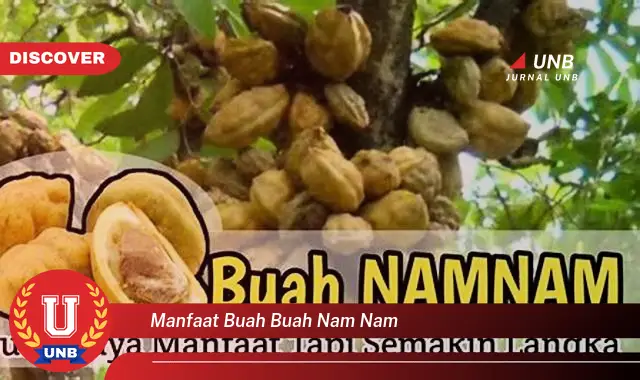 manfaat buah buah nam nam