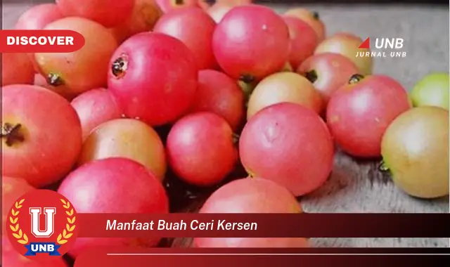 manfaat buah ceri kersen