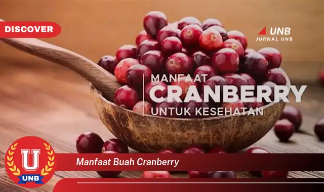 manfaat buah cranberry