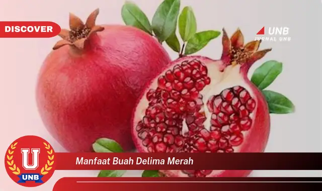 manfaat buah delima merah