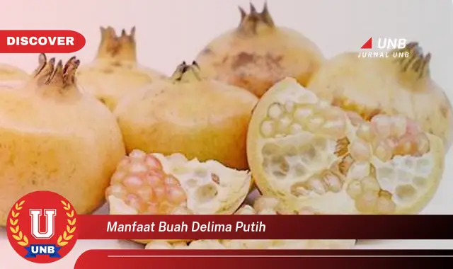 manfaat buah delima putih manfaat buah delima putih