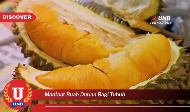 manfaat buah durian bagi tubuh