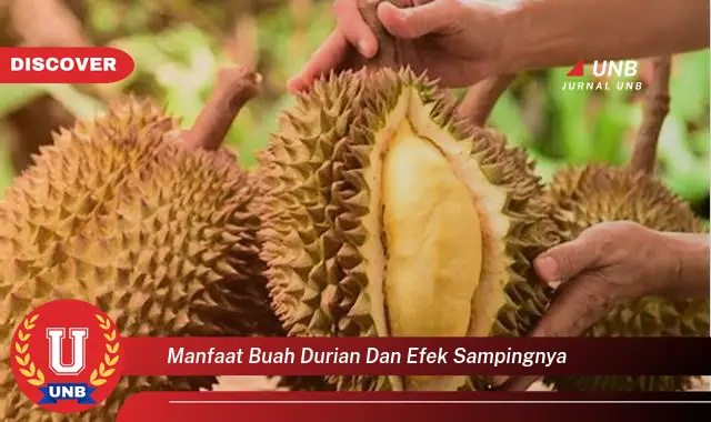 manfaat buah durian dan efek sampingnya