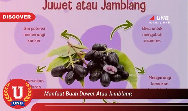 manfaat buah duwet atau jamblang