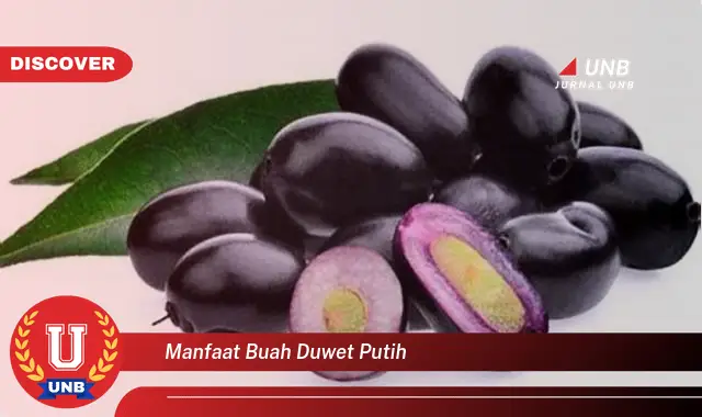 manfaat buah duwet putih