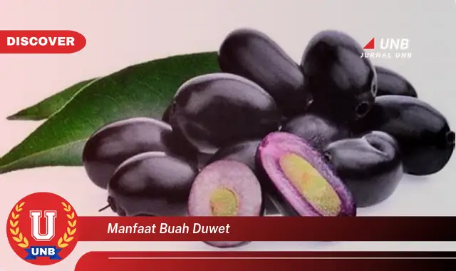 manfaat buah duwet