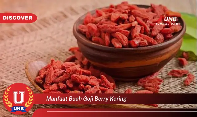 manfaat buah goji berry kering