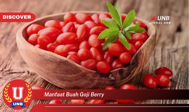 manfaat buah goji berry