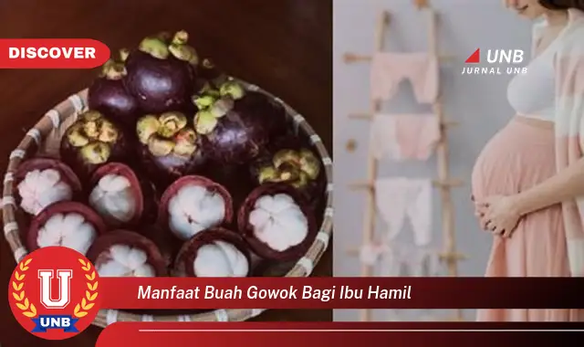 manfaat buah gowok bagi ibu hamil manfaat buah gowok bagi ibu hamil