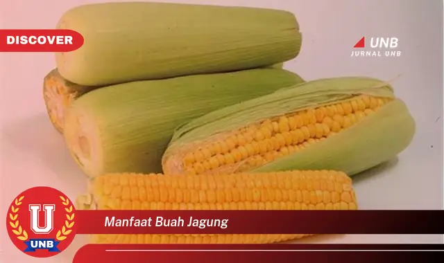 manfaat buah jagung