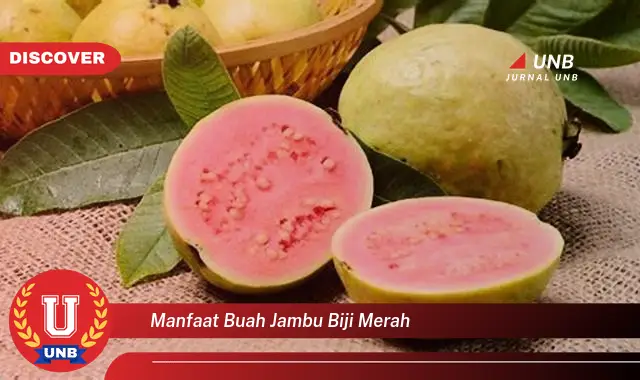 manfaat buah jambu biji merah