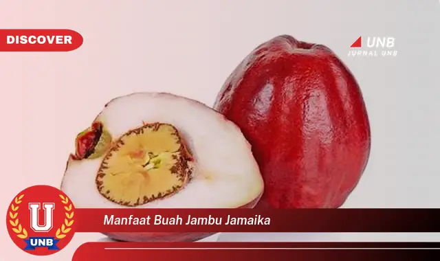 manfaat buah jambu jamaika