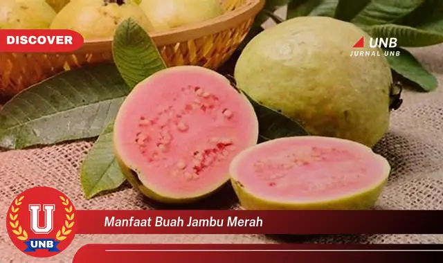 manfaat buah jambu merah