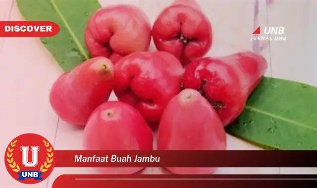 manfaat buah jambu