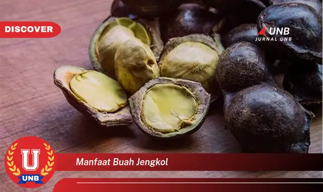 manfaat buah jengkol