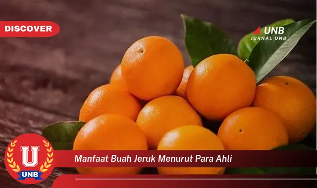 manfaat buah jeruk menurut para ahli manfaat buah jeruk menurut para ahli