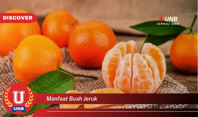 manfaat buah jeruk