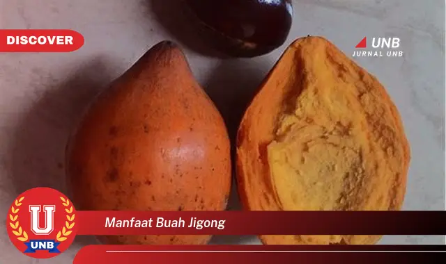 manfaat buah jigong