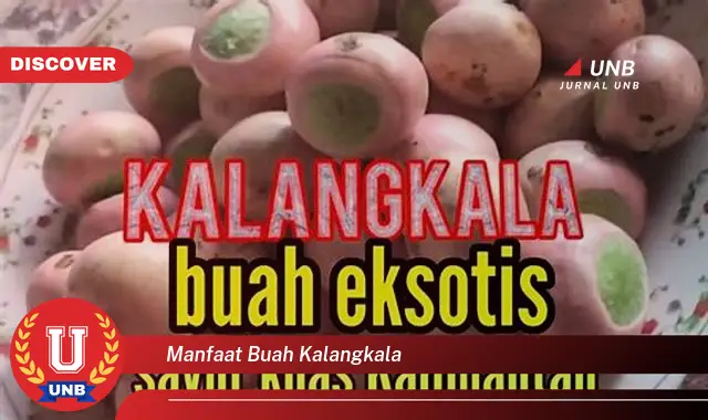 manfaat buah kalangkala