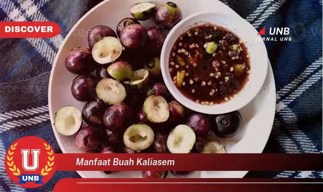 manfaat buah kaliasem manfaat buah kaliasem