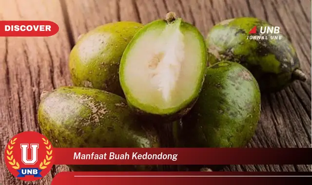 manfaat buah kedondong manfaat buah kedondong