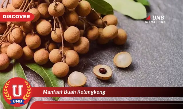 manfaat buah kelengkeng