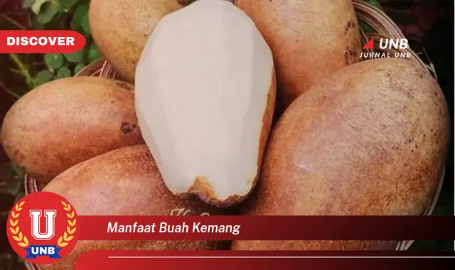 manfaat buah kemang