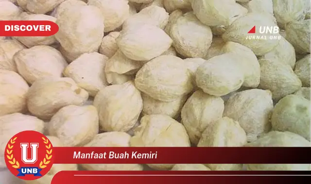 manfaat buah kemiri