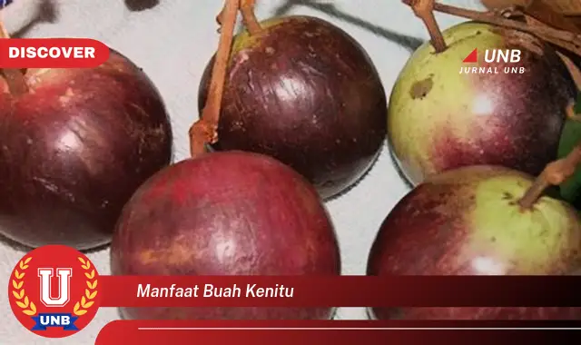 manfaat buah kenitu