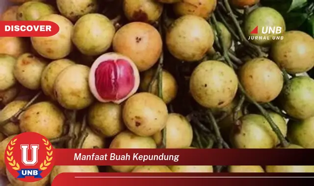 manfaat buah kepundung