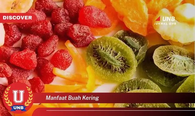 manfaat buah kering