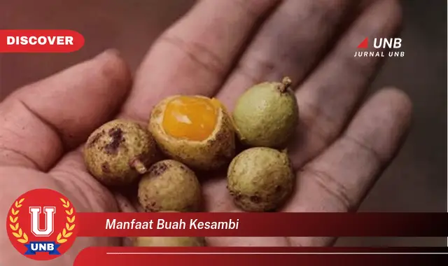 manfaat buah kesambi