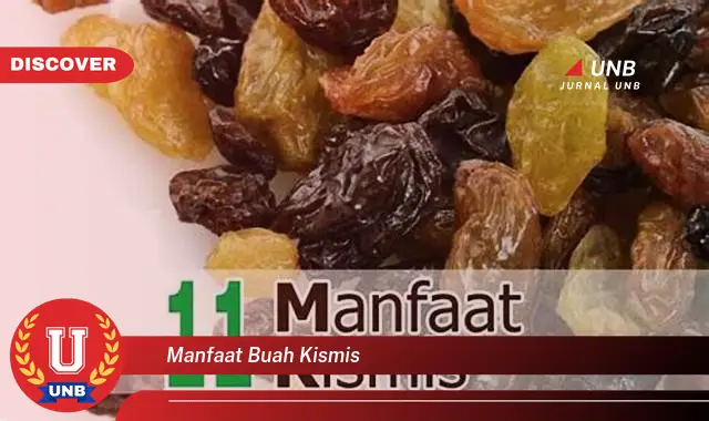 manfaat buah kismis