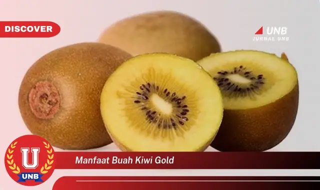 manfaat buah kiwi gold