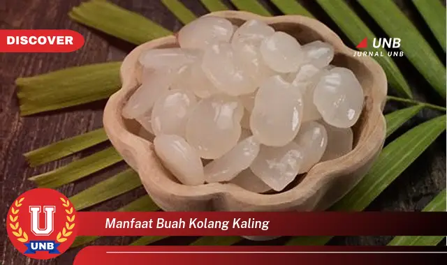 manfaat buah kolang kaling