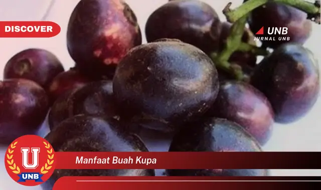 manfaat buah kupa