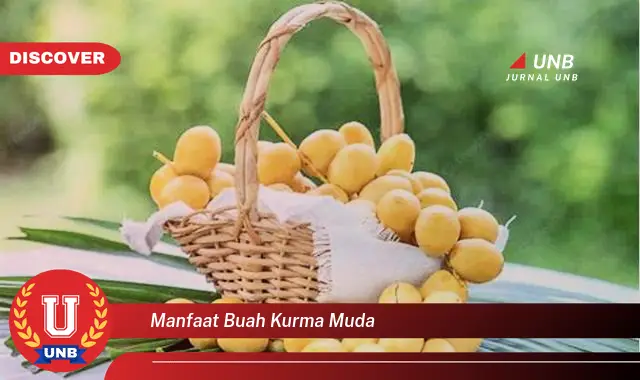 manfaat buah kurma muda