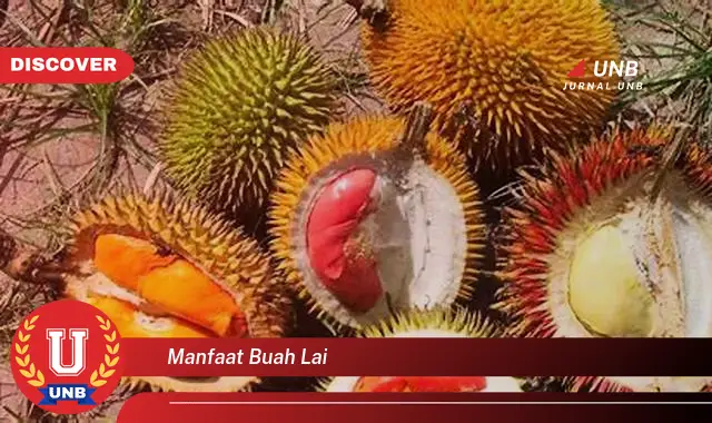 manfaat buah lai