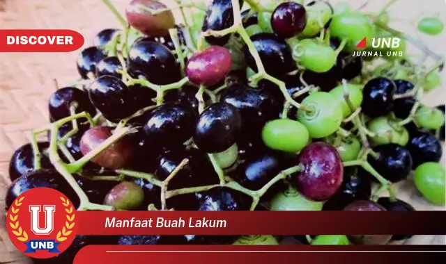 manfaat buah lakum