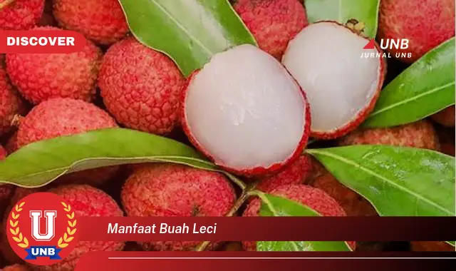 manfaat buah leci manfaat buah leci